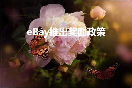 璺ㄥ鐢靛晢鐭ヨ瘑:eBay鎺ㄥ嚭濂栧姳鏀跨瓥