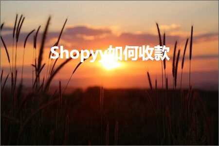 跨境电商知识:Shopyy如何收款