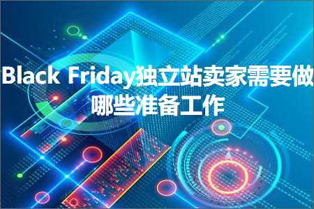 璺ㄥ鐢靛晢鐭ヨ瘑:BlackFriday鐙珛绔欏崠瀹堕渶瑕佸仛鍝簺鍑嗗宸ヤ綔