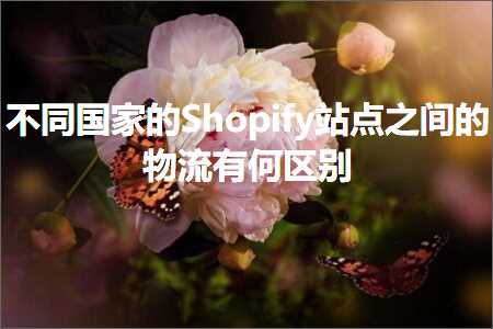 跨境电商知识:不同国家的Shopify站点之间的物流有何区别