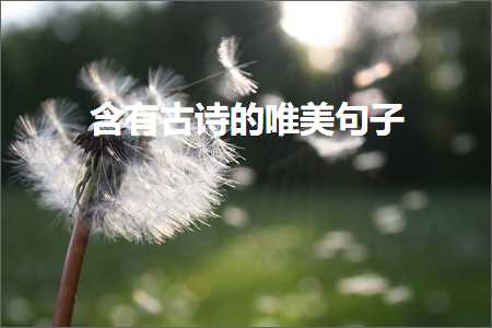 鍚湁鍙よ瘲鐨勫敮缇庡彞瀛愶紙鏂囨662鏉★級