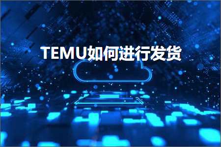 璺ㄥ鐢靛晢鐭ヨ瘑:TEMU濡備綍杩涜鍙戣揣