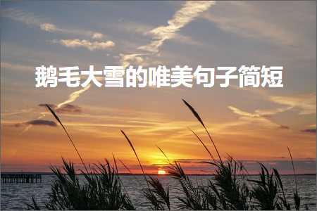 楣呮瘺澶ч洩鐨勫敮缇庡彞瀛愮畝鐭紙鏂囨584鏉★級