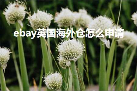 璺ㄥ鐢靛晢鐭ヨ瘑:ebay鑻卞浗娴峰浠撴€庝箞鐢宠