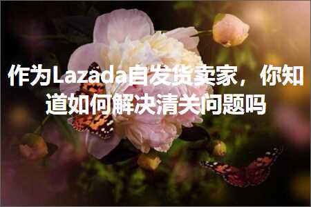 璺ㄥ鐢靛晢鐭ヨ瘑:浣滀负Lazada鑷彂璐у崠瀹讹紝浣犵煡閬撳浣曡В鍐虫竻鍏抽棶棰樺悧