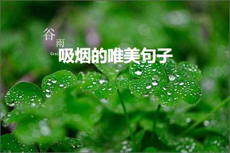 鍚哥儫鐨勫敮缇庡彞瀛愶紙鏂囨125鏉★級