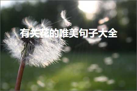 鏈夊叧鑺辩殑鍞編鍙ュ瓙澶у叏锛堟枃妗?77鏉★級