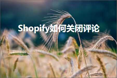 璺ㄥ鐢靛晢鐭ヨ瘑:Shopify濡備綍鍏抽棴璇勮