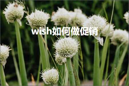 璺ㄥ鐢靛晢鐭ヨ瘑:wish濡備綍鍋氫績閿€