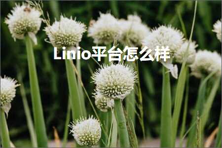 跨境电商知识:Linio平台怎么样