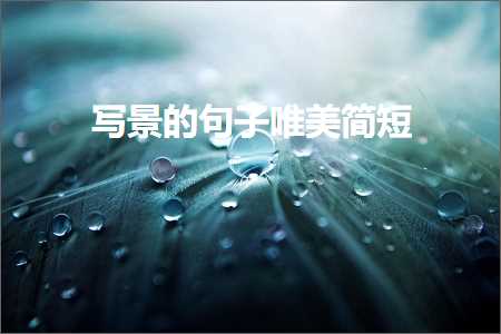 鍐欐櫙鐨勫彞瀛愬敮缇庣畝鐭紙鏂囨504鏉★級