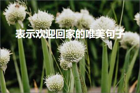 楂樻繁鑾祴鐨勫敮缇庡彞瀛愶紙鏂囨615鏉★級