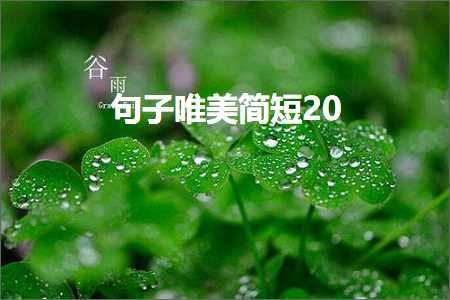 鑰佸勾浜哄敮缇庡彞瀛愶紙鏂囨157鏉★級